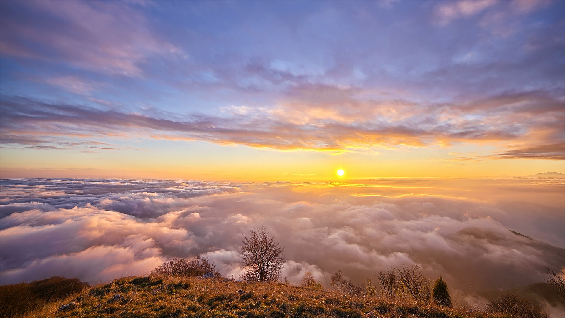 allwincity万象城(中国)有限公司官网